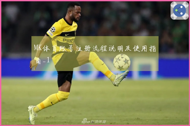 MK体育账号注册流程说明及使用指南_1