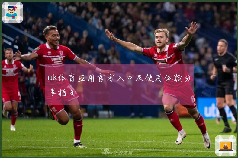 mk体育应用官方入口及使用体验分享指南